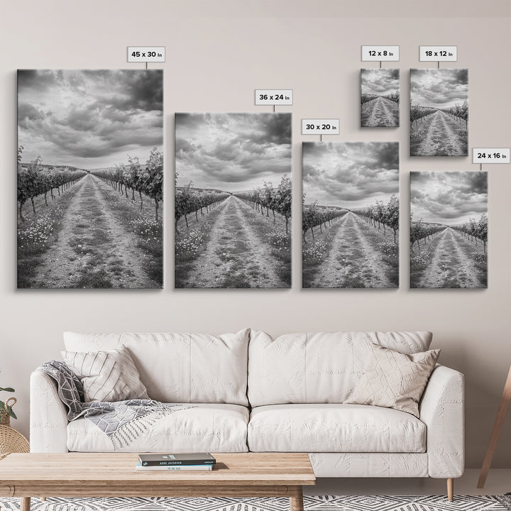 Vineyard Rows, Cloudy Skies, Countryside Path, Canvas Print, Farmhouse Wall Art, Kitchen or Dining Decor, Rustic Landscape Photo