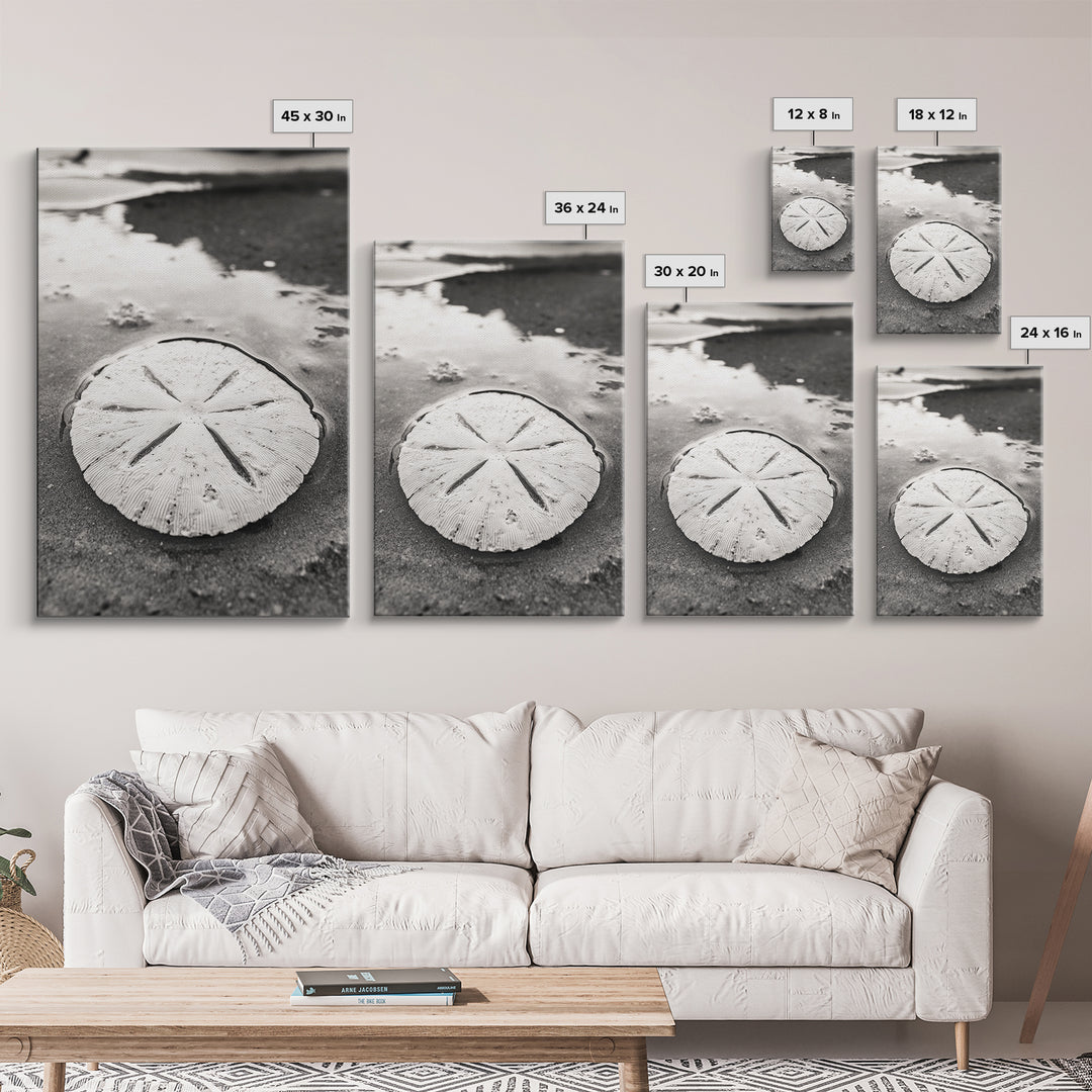 Sand Dollar, Coastal Shore, Ocean Shell Print, Canvas Print, Beachcomber Wall Art, Seaside Bathroom Decor, Nautical Nature Photography