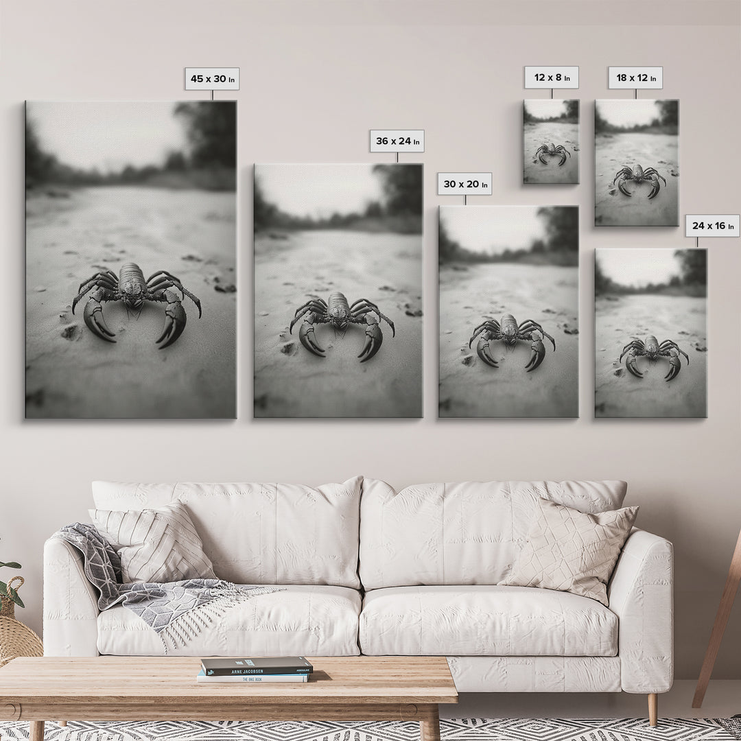 Desert Scorpion, Moody Wildlife, Sandy Ground, Focused Predator, Framed Canvas Print, edgy boho decor, masculine wall art, nature closeup