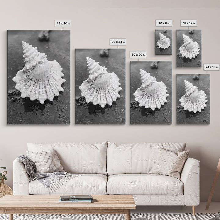 Spiral Shell, Beach Texture, Nature Closeup, Sea Whisper Framed Canvas Print, minimalist beach wall art, boho coastal kitchen decor