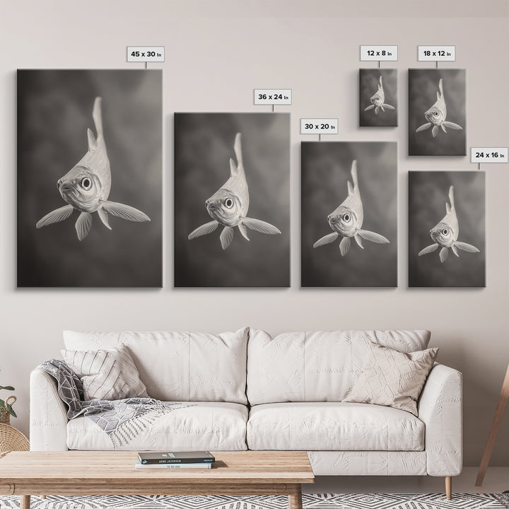 Curious Fish, Underwater Focus, Moody Marine Life, Framed Canvas Print, Bathroom Wall Art, Black and White Ocean Wildlife Decor