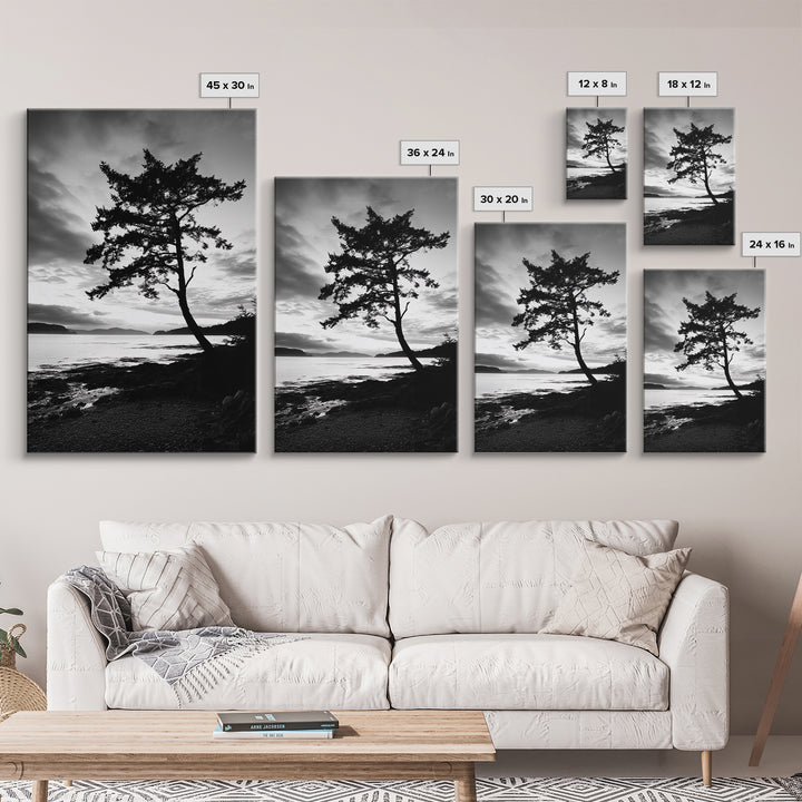 Coastal Tree, Pacific Northwest, Serene Landscape, Monochrome Nature Scene, Framed Canvas Print, Entryway Art, Rustic Cabin Wall Decor