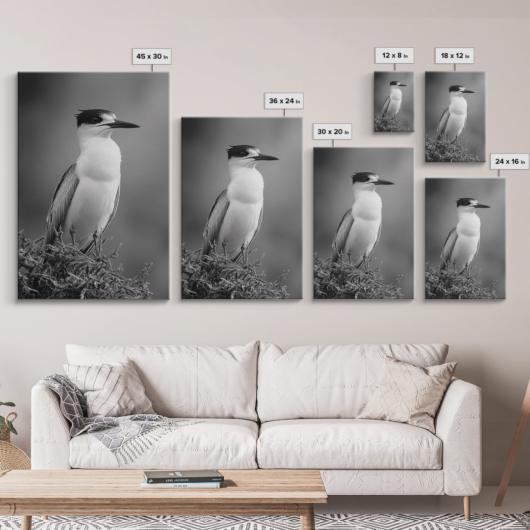Coastal Bird Portrait, Black White Art, Nature Print, Minimalist Style, Living Room Wall Decor, Framed Canvas Print, Beach House Art