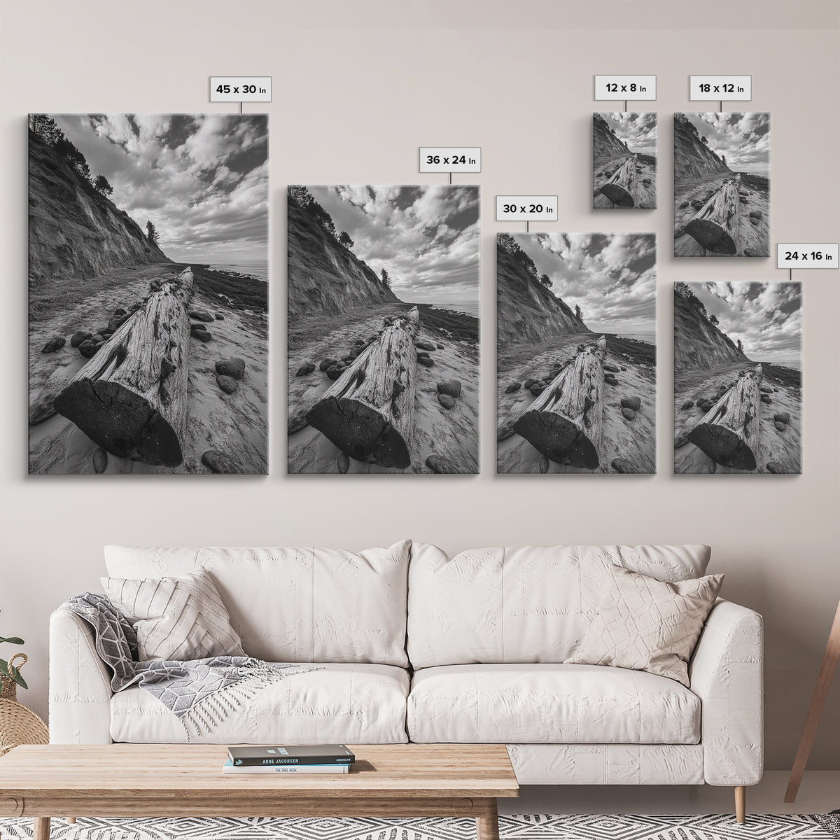 Driftwood Coastal Trail, Cliffside Path Nature Art, Rustic Cabin Style, Black White Photography, Framed Canvas Print, Hallway Wall Decor