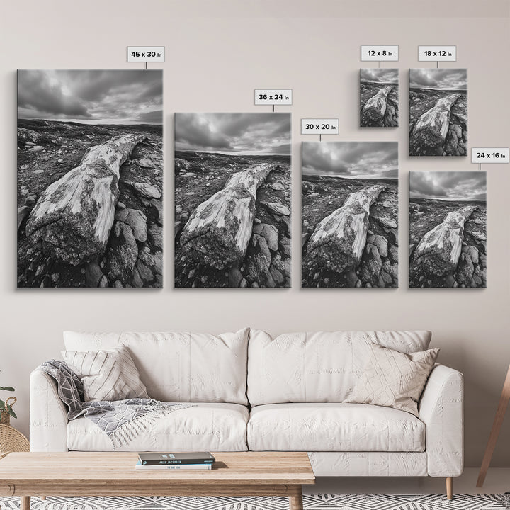 Rocky Terrain Driftwood, Weathered Wood Scene, Outdoor Adventure Art, Modern Rustic Decor, Framed Canvas Print, Earthy Tones Photography