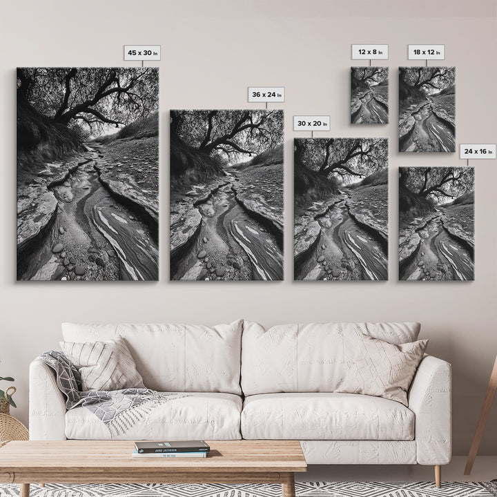 Dry Creek, Twisted Tree, Rocky Path, Framed Canvas Print, Moody Autumn Wall Art, Earthy Entryway Decor, Nature Texture Photography