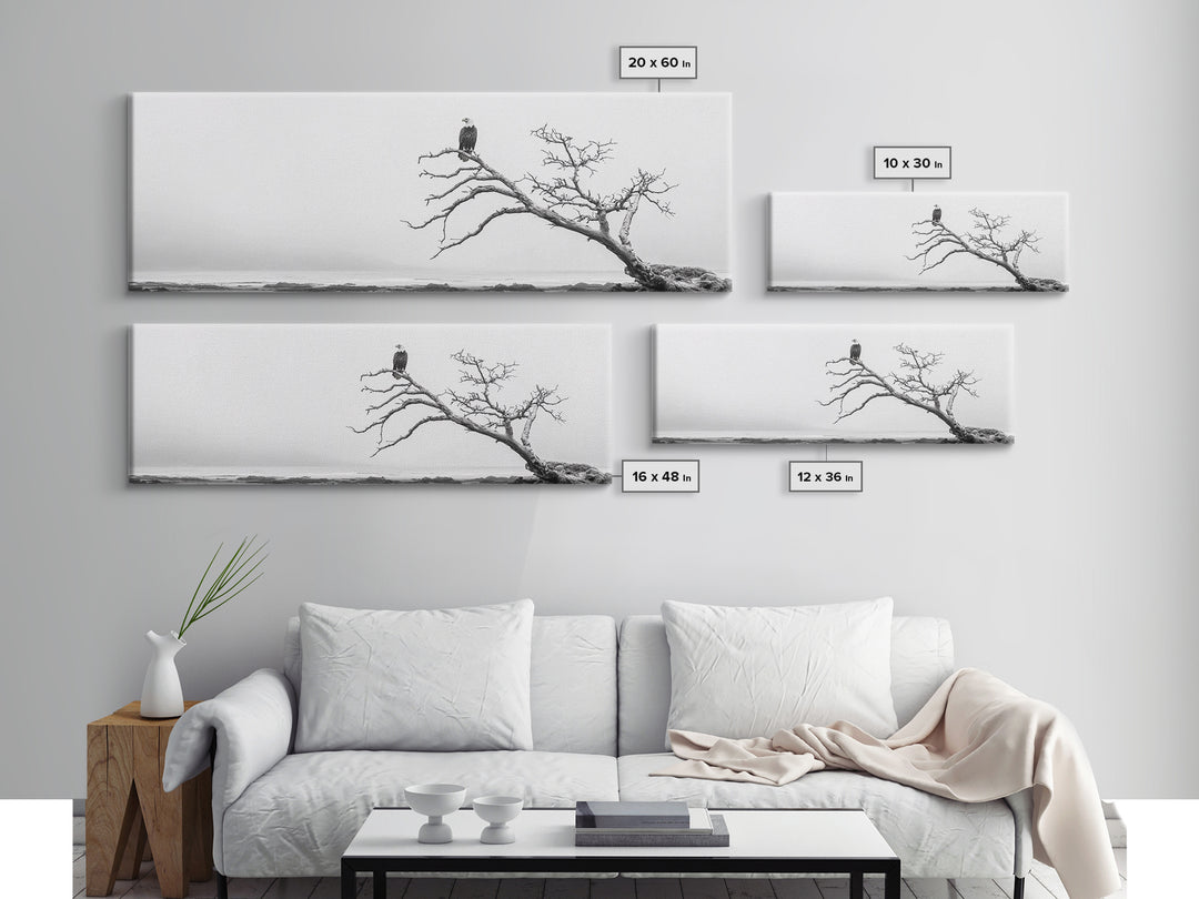 Bald Eagle, Tree Perch, Foggy Coast, Framed Canvas Print, Wildlife Photography, Cabin Wall Art, Rustic Minimalist Decor