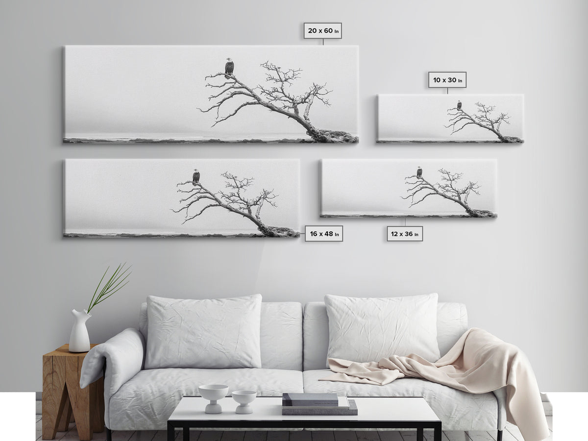 Bald Eagle, Tree Perch, Foggy Coast, Framed Canvas Print, Wildlife Photography, Cabin Wall Art, Rustic Minimalist Decor