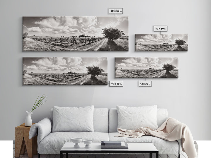 Vineyard Rows, Sunny Fields, Cloudy Sky, Canvas Print, Rustic Country Decor, Dining Room Wall Art, Wine Country Landscape, Farmhouse Style