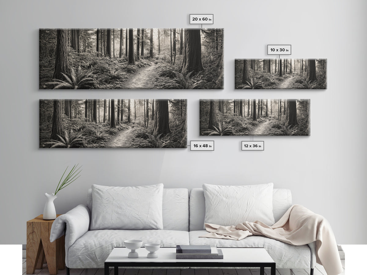 Redwood Forest, Nature Path, Fern Understory, Framed Canvas Print, Moody Nature Photography, Office Wall Art, Forest Bathing Vibes