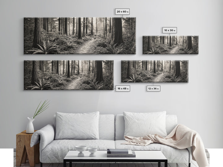 Redwood Forest, Nature Path, Fern Understory, Framed Canvas Print, Moody Nature Photography, Office Wall Art, Forest Bathing Vibes