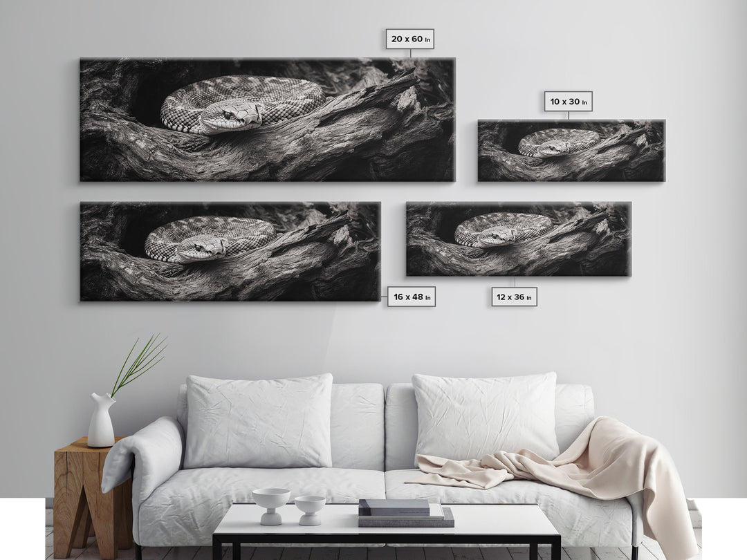 Coiled Rattlesnake, Wild Nature, Black and White, Canvas Print, Rustic Decor, Man Cave Wall Art, Cabin Style, Animal Photography, Moody Art