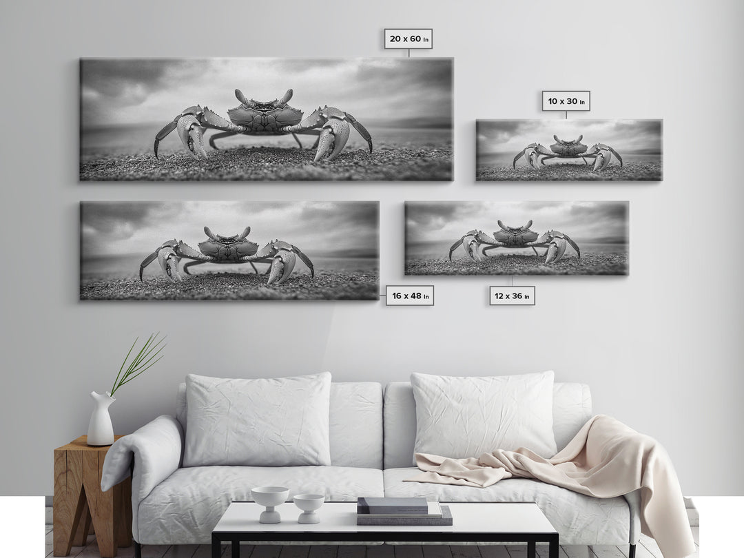 Closeup Crab, Coastal Creature, Dramatic Sand, Framed Canvas Print, Beach Wall Art, Nautical Bathroom Decor, Ocean Nature Photo