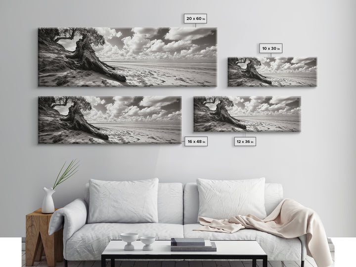 Coastal Tree Roots, Windswept Beach, Natural Form, Framed Canvas Print, Boho Wall Art, Entryway Decor, Beach House Aesthetic
