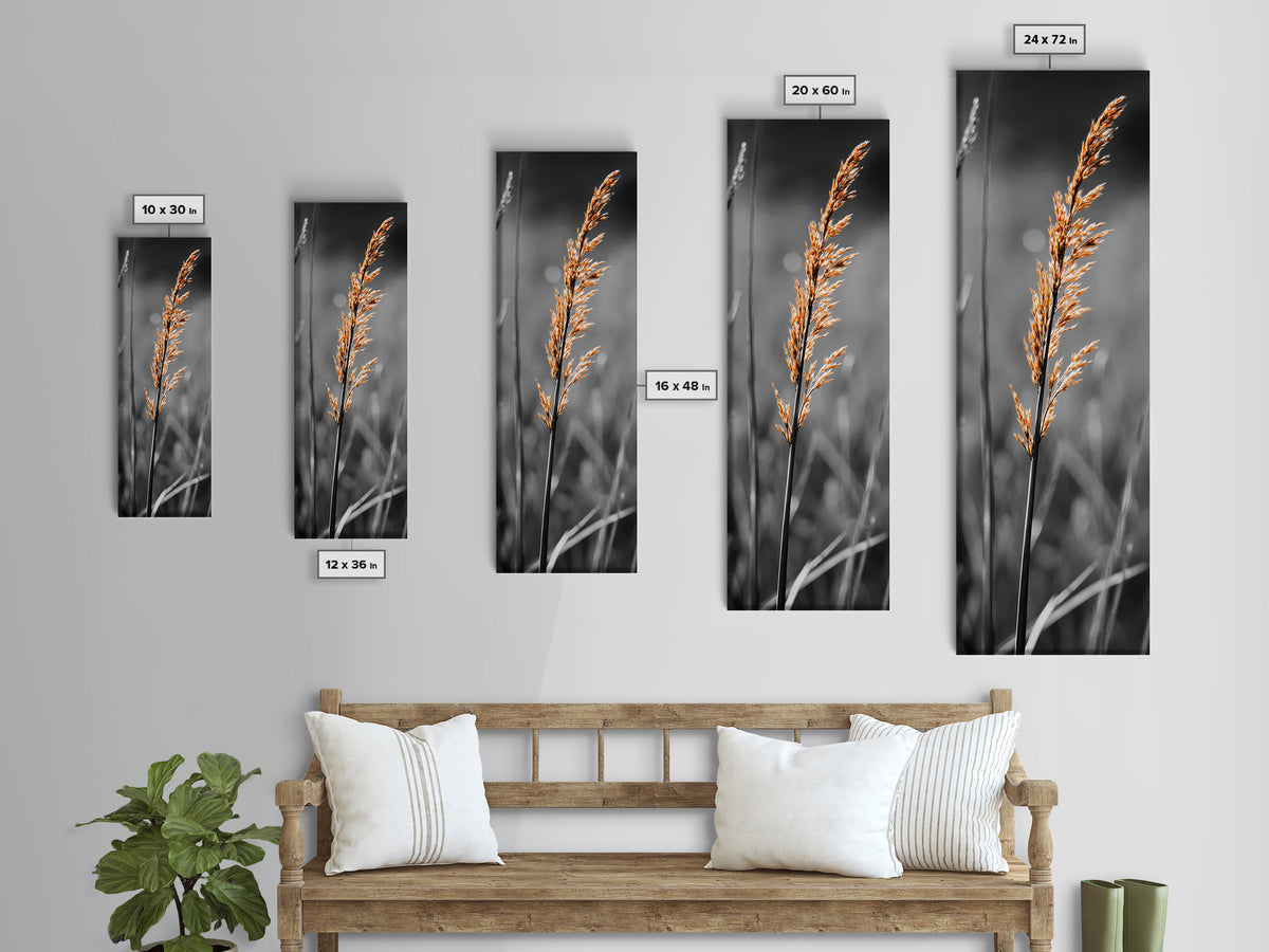 Autumn Grass, Botanical Print, Nature Photography, Single Stem, Canvas Print, Fall Wall Art, Neutral Home Decor, Minimalist Living Room Art