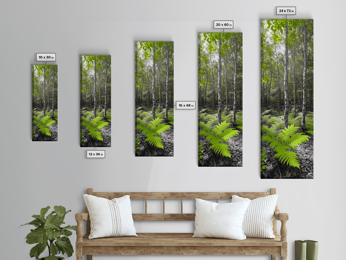 Birch Tree Forest, Green Ferns, Nature Escape, Framed Canvas Print, Botanical Art, Eco Wall Decor, Zen Forest Scene, Serene Living Room