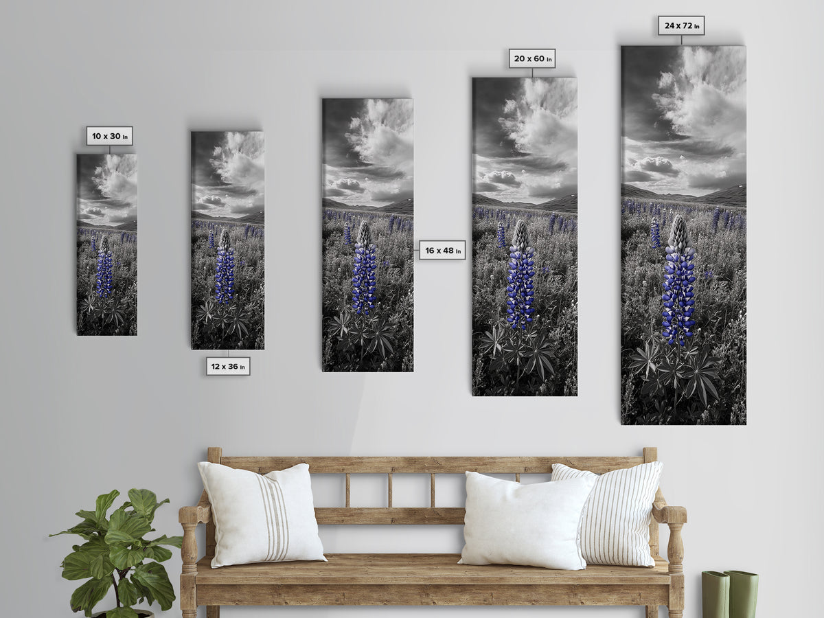 Blue Lupine, Wildflower Meadow, Cloudy Sky, Spring Bloom Framed Canvas Print, floral nature art, botanical hallway wall decor