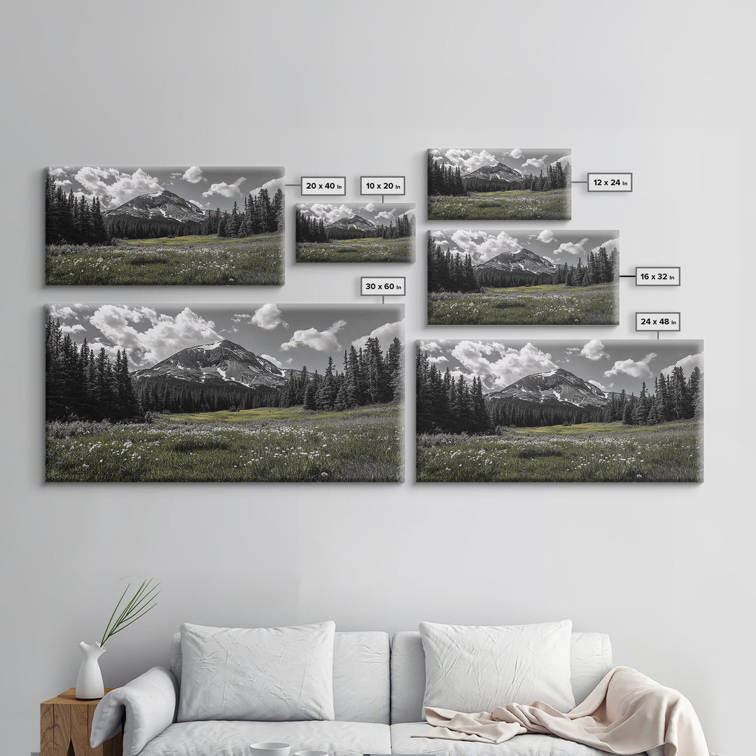 Mountain, Meadow, Wildflowers, Alpine meadow bloom and majestic peak on this Framed Canvas Print, serene Nature Wall Art for Entryway