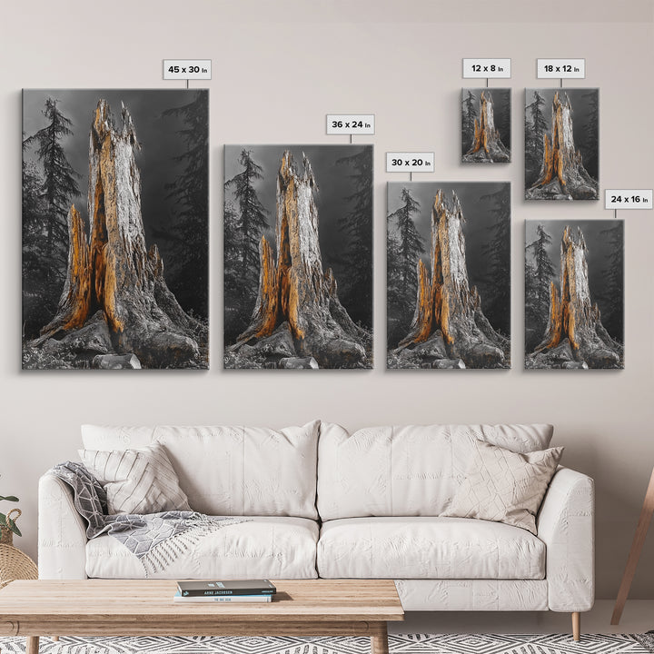 Forest Stump, Enchanted Tree, Woodland Nature, Autumn Mood, Framed Canvas Print, Rustic Wall Art, Cabin Decor, Fall Wall Accent