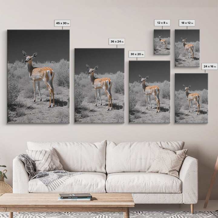 Baby Deer, Spotted Fawn, Desert Wildlife, Framed Canvas Print, Nursery Wall Art, Wildlife Nature Decor, Gentle Forest Animal Art
