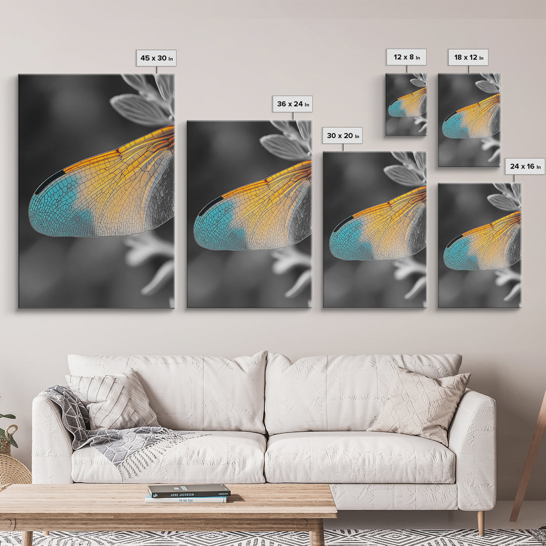 Wing Detail, Colorful Insect, Macro Nature, Blue Orange Wing, Framed Canvas Print, Natural Science Art, Entomology Wall Accent