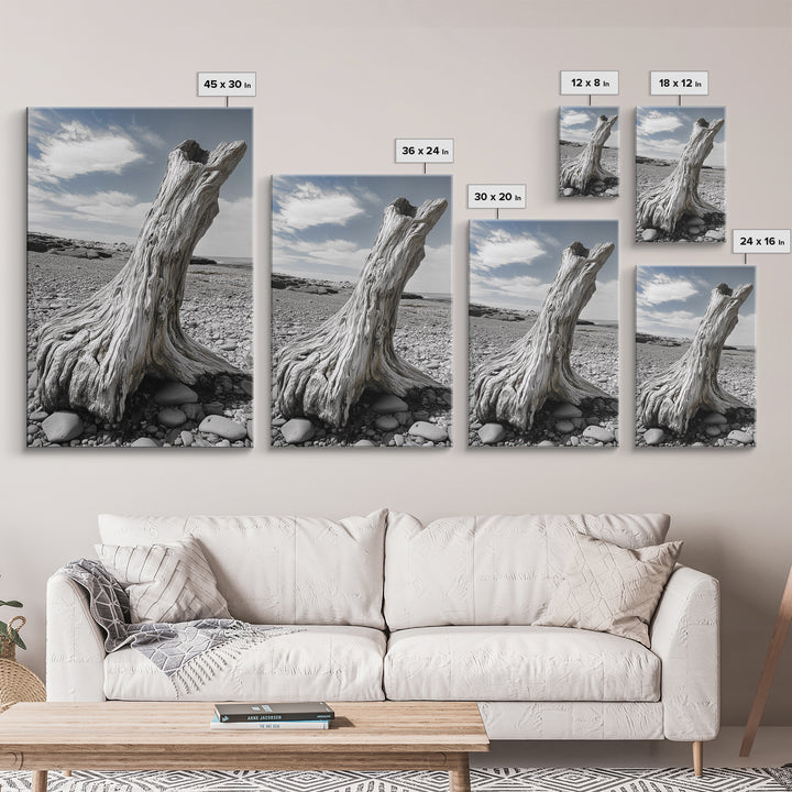Coastal Driftwood, Beach Stump, Pebble Shore, Framed Canvas Print, Rustic Wall Art, Bathroom Decor, Earthy Beach House Accent