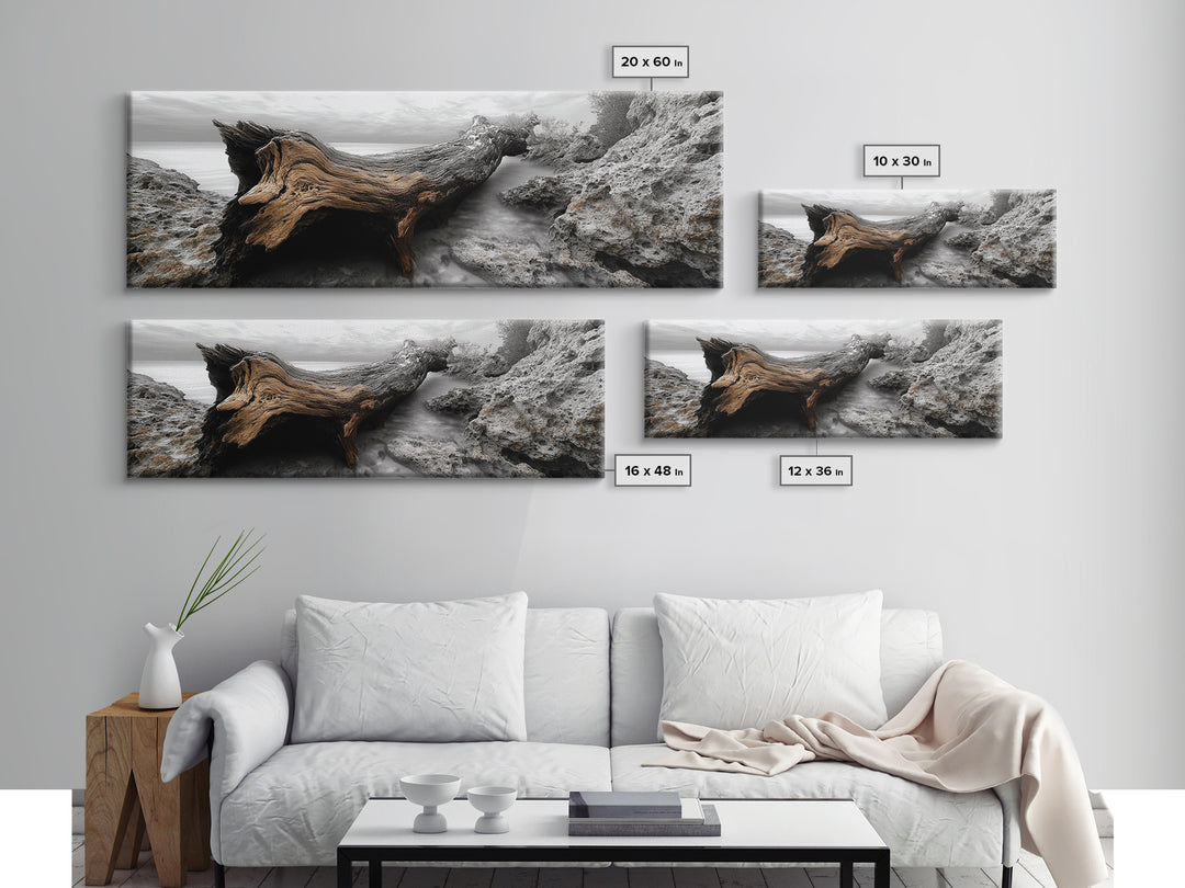 Driftwood Coast, Ocean Roots, Washed Ashore, Beach Texture — Canvas Print, Coastal Decor, Bathroom Wall Art, Monochrome Nature Photography