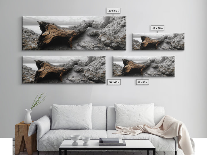 Driftwood Coast, Ocean Roots, Washed Ashore, Beach Texture — Canvas Print, Coastal Decor, Bathroom Wall Art, Monochrome Nature Photography