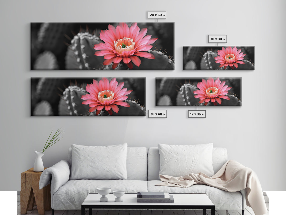 Desert Bloom, Cactus Flower, Vibrant Petals, Nature Beauty, Framed Canvas Print, Boho Wall Art, Living Room Decor, Pink Flower Photography