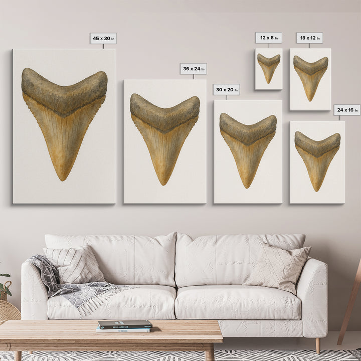 Watercolor Fossil Shark Tooth Wall Art, Nautical Coastal Decor, Ocean Nature Art Print, Beach House Gift, Marine Life Poster