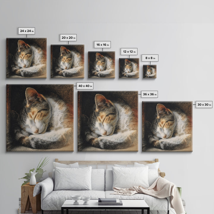 Sleeping Cat Curled Canvas Print, Animal Art, Nursery, Living Room Decor, Fine Art, Creature, Modern Decor, Fine Art Print, ANI-1x1-60