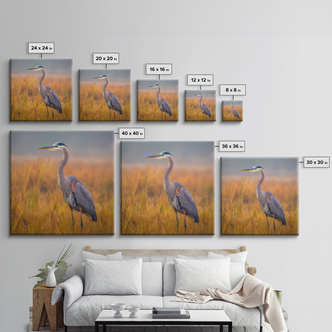 Blue Heron Standing Framed Canvas Print, Animal Art, Statement Artwork, Living Room Decor, Fine Art, Creature, Wall Decor, ANI-1x1-83