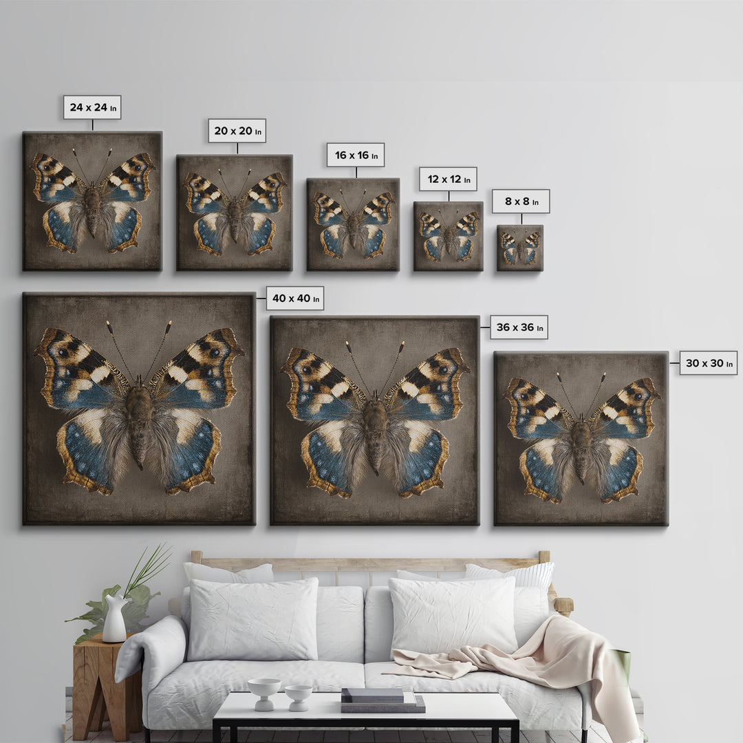 Butterfly Specimen Composition Canvas Print, Animal Art, Neutral Decor, Living Room Decor, Fine Art, Creature, Wall Art, ANI-1x1-95