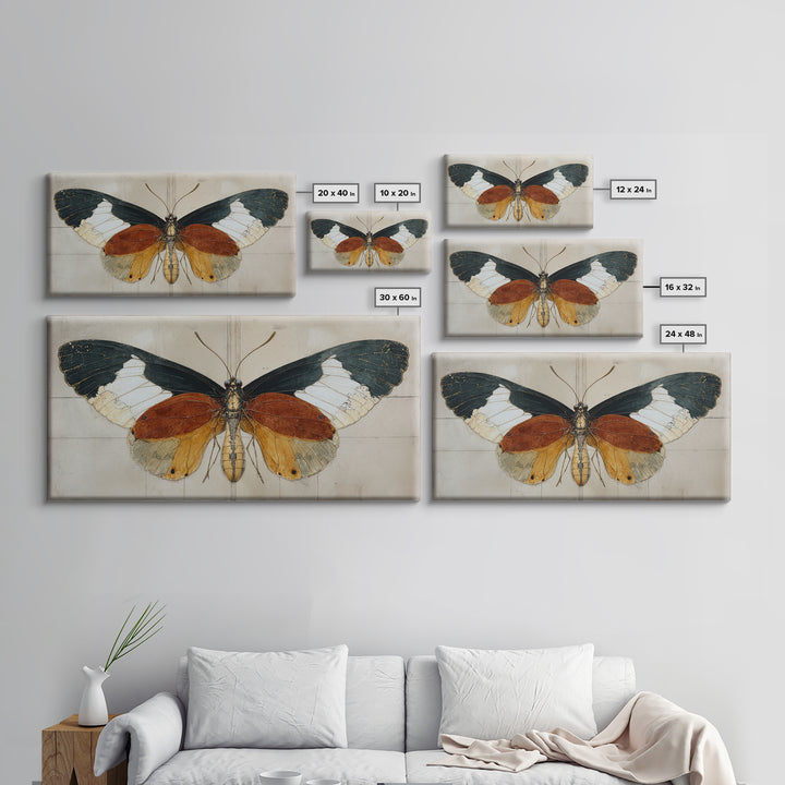Butterfly Specimen Composition Framed Canvas Print, Animal Art, Digital Art, Living Room Decor, Creature, Farmhouse Decor, ANI-2x1-91