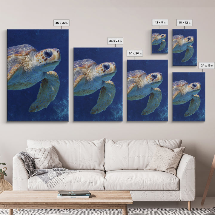Sea Turtle Drifting Through Luminous Blue Water Framed Canvas Print, Animal Art, Living Room Decor, Watercolor Art, Creature, ANI-2x3-74