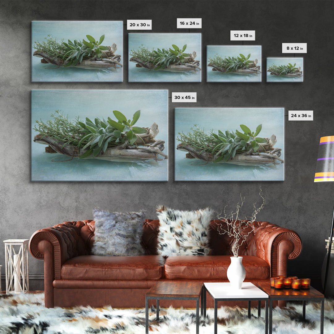 Botanical Bath Herb Arrangement Canvas Print, Bathroom Art, Bathroom Decor, Fine Art, Spa, Bathroom Accessories, Modern Art, BAT-3x2-21