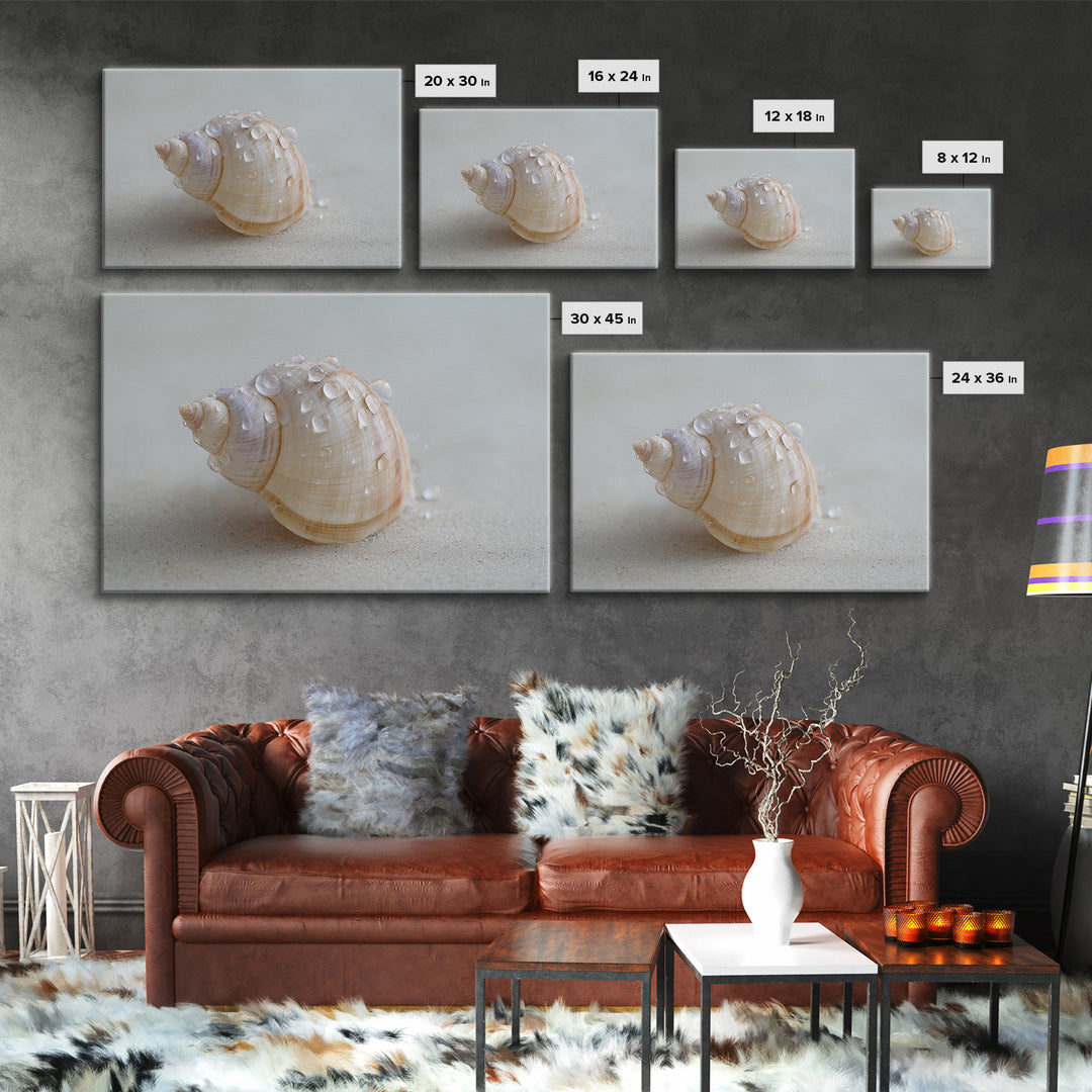 Minimal Seashell Still Life on Pale Sand Framed Canvas Print, Bathroom Art, Boho Decor, Bathroom Decor, Oil Painting, Spa, BAT-3x2-55