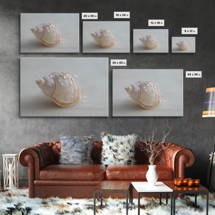Minimal Seashell Still Life on Pale Sand Framed Canvas Print, Bathroom Art, Boho Decor, Bathroom Decor, Oil Painting, Spa, BAT-3x2-55