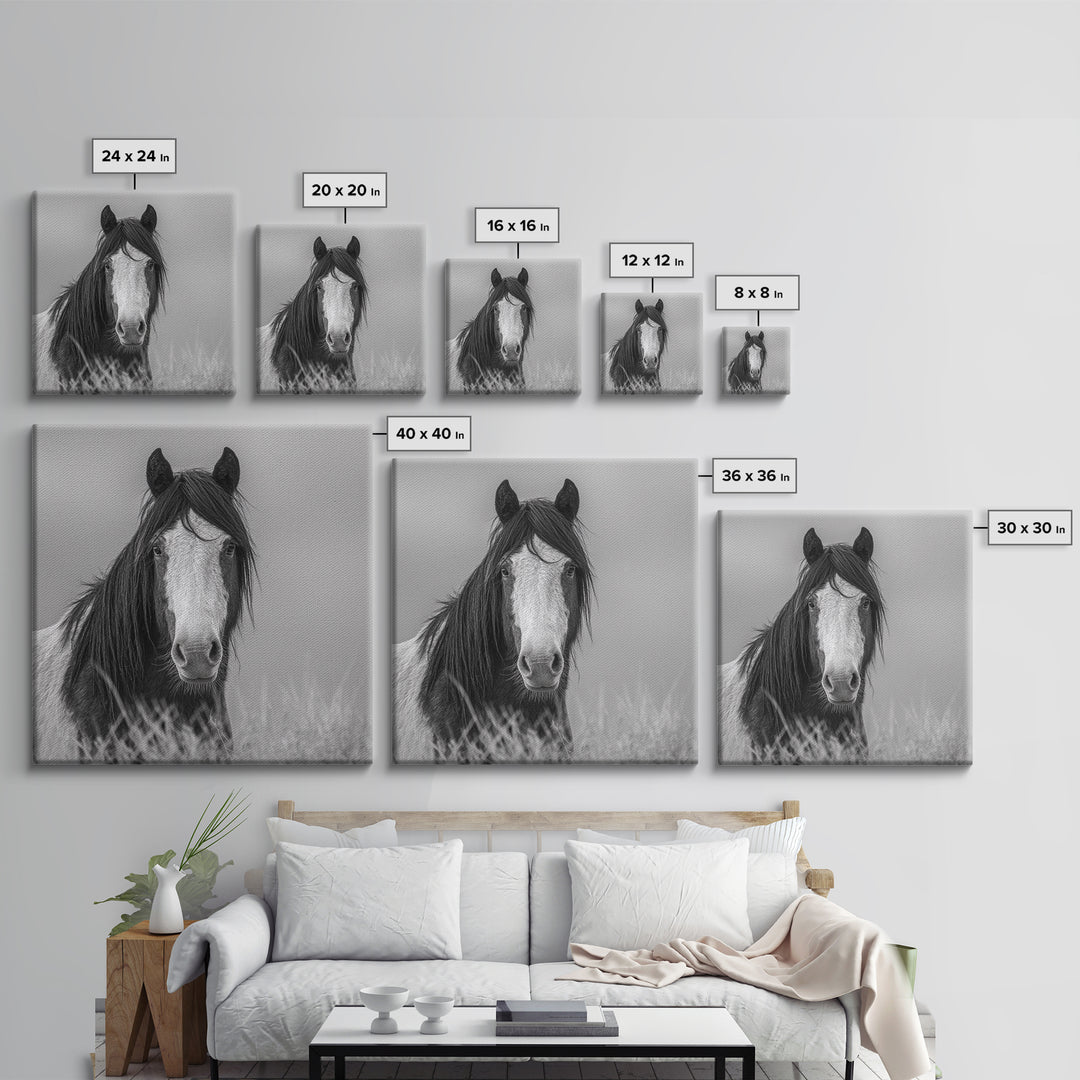 Black and White Wild Horse Portrait Canvas Print, Black and White Art, Fine Art Print, Living Room Decor, Oil Painting, BAW-1x1-5