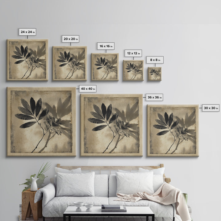 Black and White Botanical Specimen Plate Canvas Print, Black and White Art, Cabin Decor, Living Room Decor, Monochrome, BAW-1x1-71