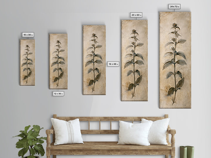 Black and White Botanical Specimen Plate Canvas Print, Black and White Art, Canvas Print, Living Room Decor, Oil Painting, BAW-1x3-59