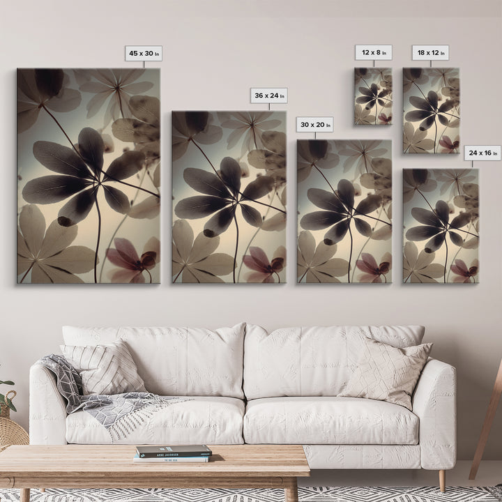 Black and White Botanical Specimen Plate Canvas Print, Black and White Art, Large Wall Art, Living Room Decor, Monochrome, BAW-2x3-79
