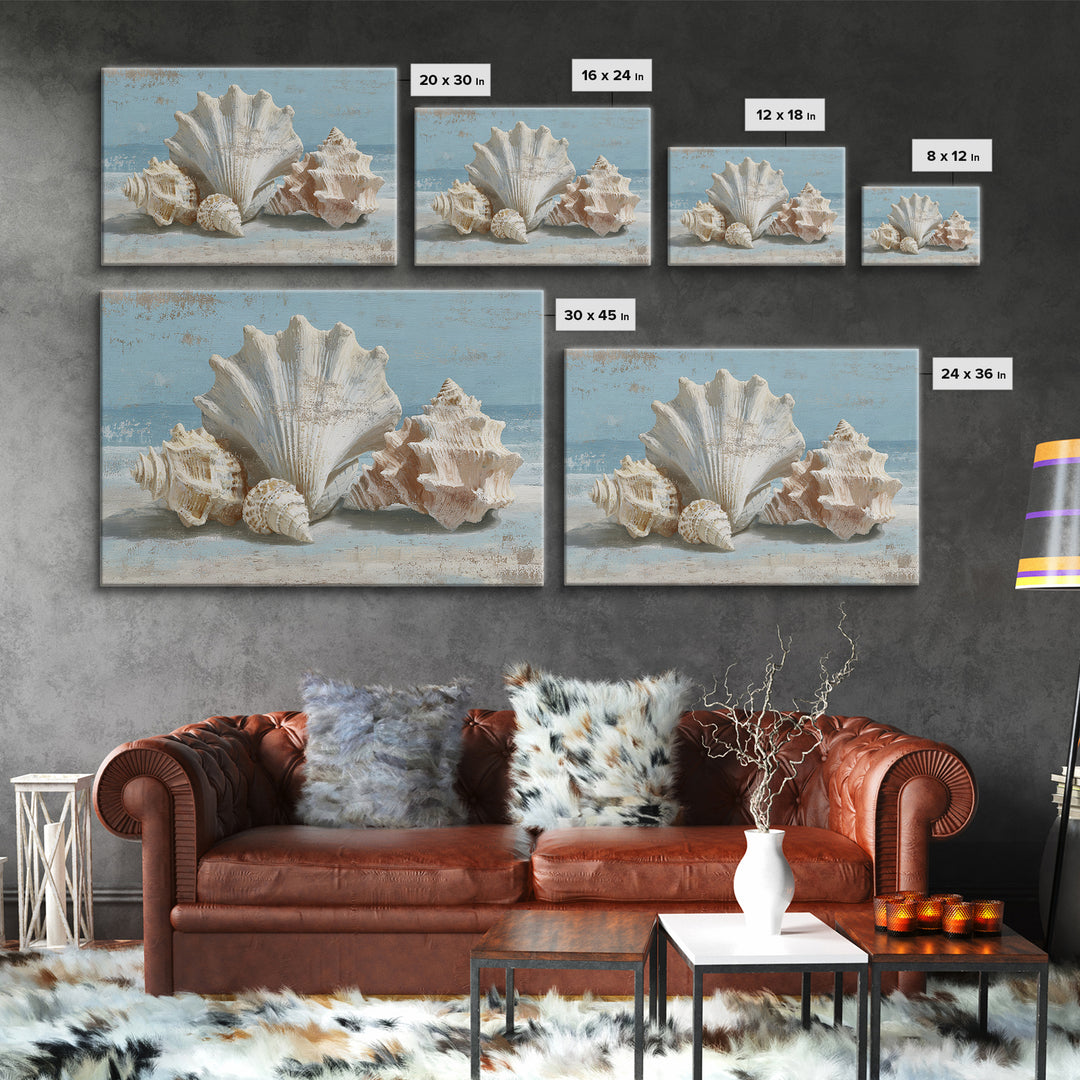 Seashell Collection Painted Like Natural Specimens Canvas Print, Beach Art, Whimsical Art, Coastal Decor, Fine Art, Shore, BEA-3x2-56