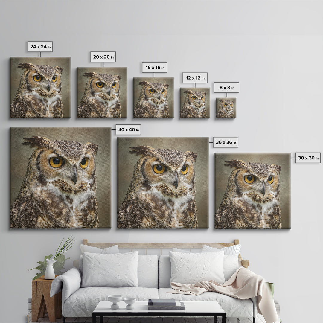 Owl Portrait with Wise Golden Eyes Framed Canvas Print, Bird Art, Fine Art Print, Living Room Decor, Fine Art, Flight, BIR-1x1-53