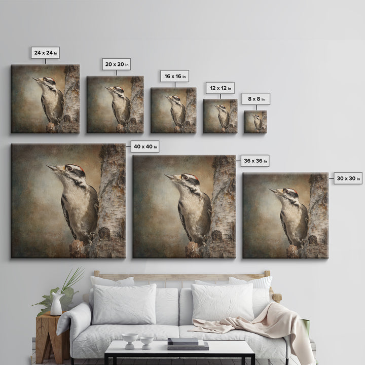 Woodpecker on Birch Bark Texture Framed Canvas Print, Bird Art, Luxury Decor, Living Room Decor, Oil Painting, Flight, BIR-1x1-93