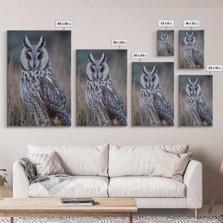 Owl Portrait with Wise Golden Eyes Framed Canvas Print, Bird Art, Digital Prints, Living Room Decor, Fine Art, Flight, BIR-2x3-37