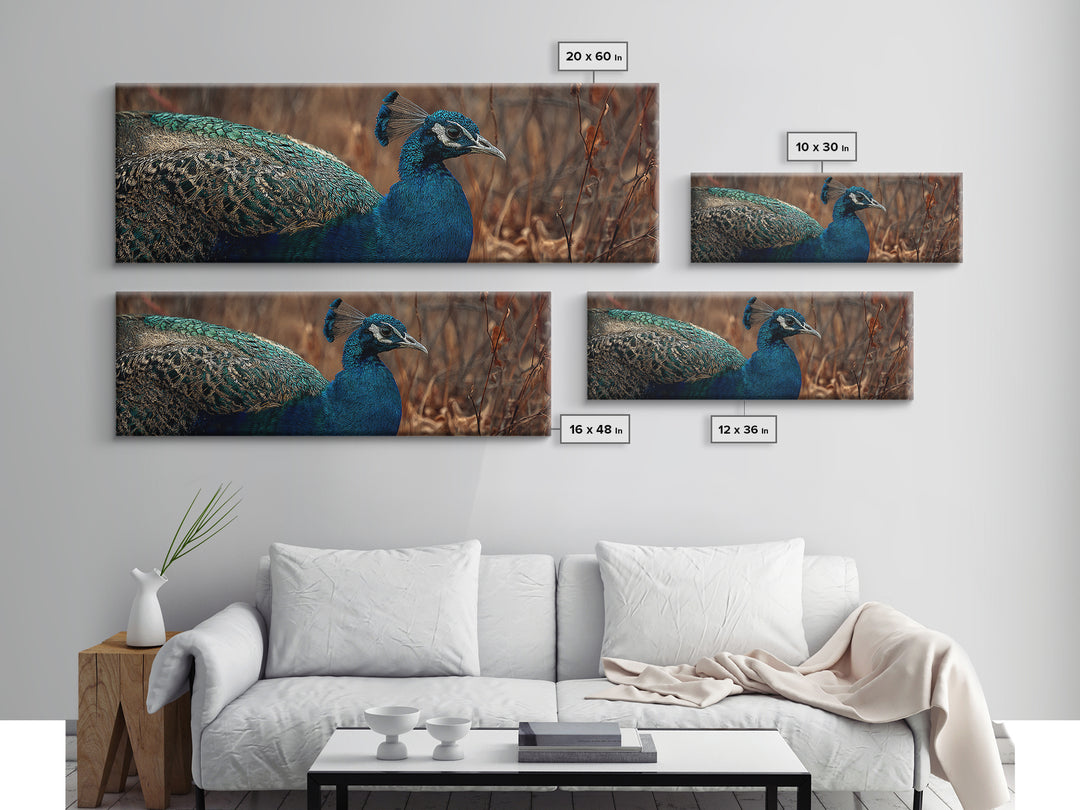Peacock with Jewel Tone Feather Pattern Canvas Print, Bird Art, Printable Art, Living Room Decor, Flight, Mid Century Wall Art, BIR-3x1-71