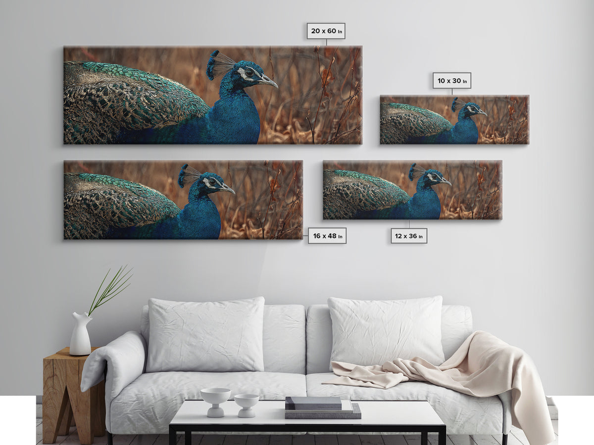 Peacock with Jewel Tone Feather Pattern Canvas Print, Bird Art, Printable Art, Living Room Decor, Flight, Mid Century Wall Art, BIR-3x1-71