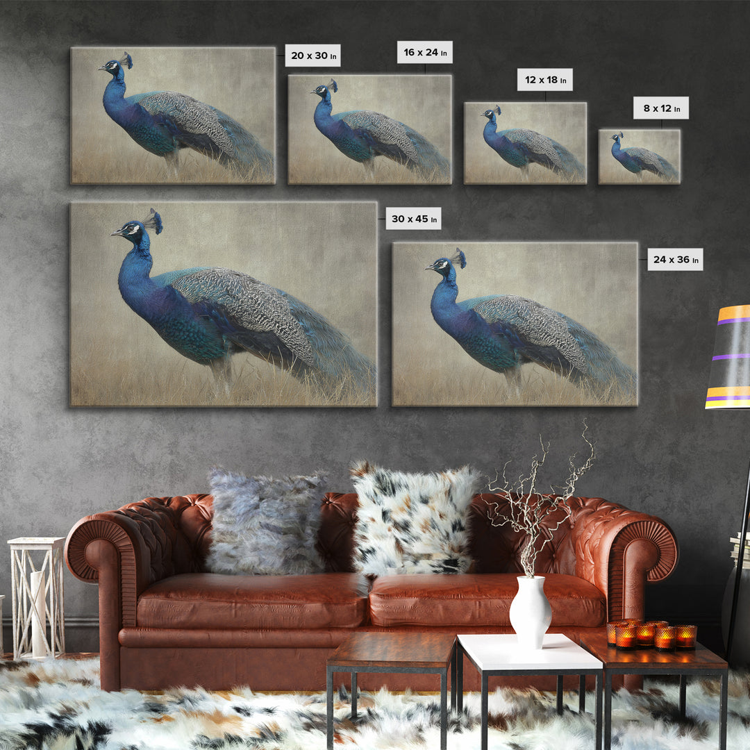 Peacock with Jewel Tone Feather Pattern Framed Canvas Print, Bird Art, Art Print, Living Room Decor, Oil Painting, Flight, BIR-3x2-59