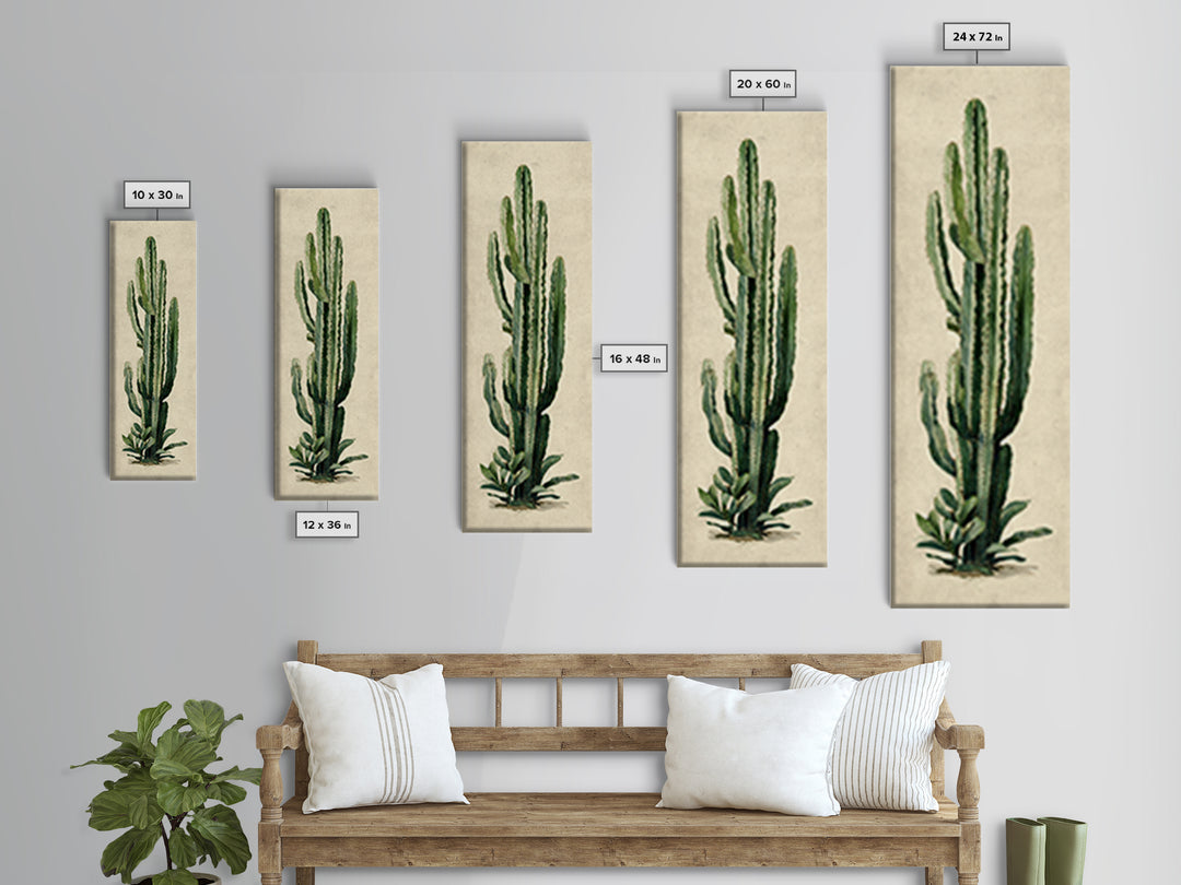 Cactus Botanical Plate Canvas Print, Botanical Art, Digital Wall Art, Living Room Decor, Oil Painting, Botanic, BOT-1x3-73